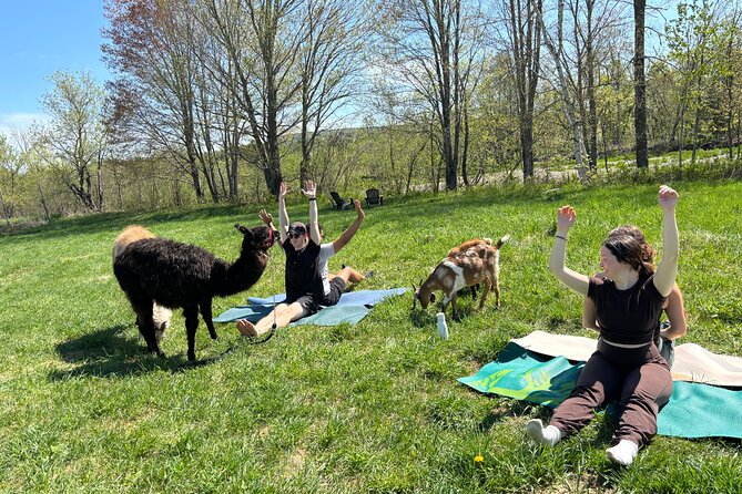 Hike & Lunch with Llamas - What to Know About the Flow (So You Can Enjoy It More)
