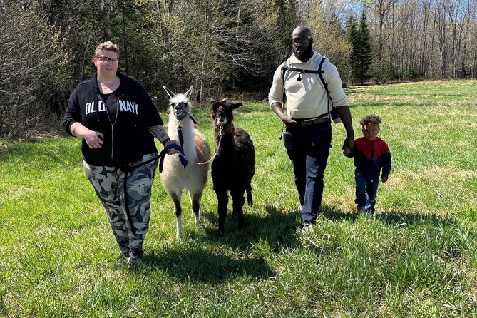 Hike & Lunch with Llamas - Wildlife, Selfies, and Being a Good Neighbor to Animals