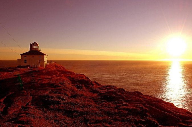 Historic St. John's Newfoundland and Cape Spear Tour - Cape Spear Lighthouse National Historic Site, the Most Easterly Point