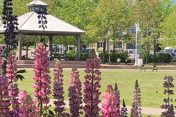 Historic Walking Tour of Charlottetown - Key highlights to look for