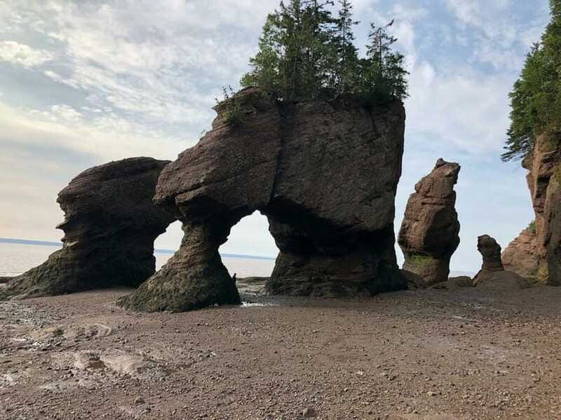 Hopewell Cape: Hopewell Rocks Admission - North Beach Ramp and the Bench Stops