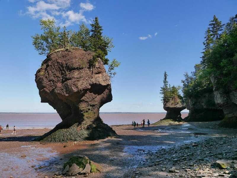 Hopewell Cape: Hopewell Rocks Admission - Trails, Lookouts, and Getting a Warm Meal In