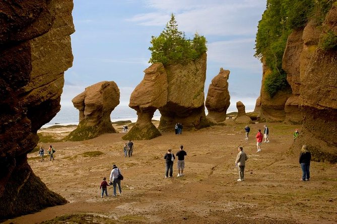 Hopewell Rocks Admission - Key highlights to plan around
