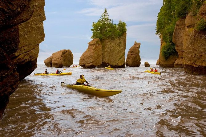 Hopewell Rocks Admission - How the Bay of Fundy tides shape your visit