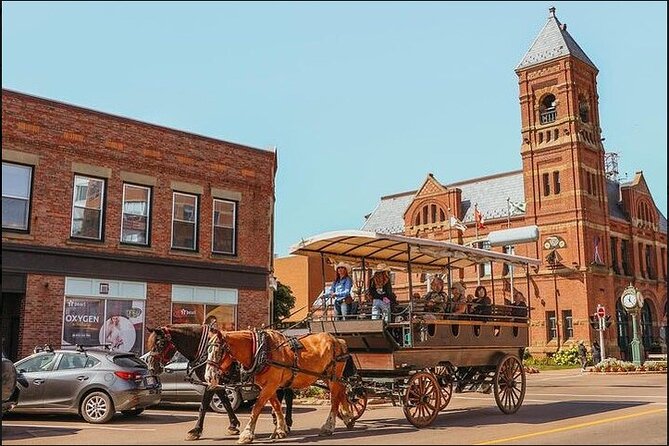 Horse Drawn Historical Guided Tour - Key things to know before you ride