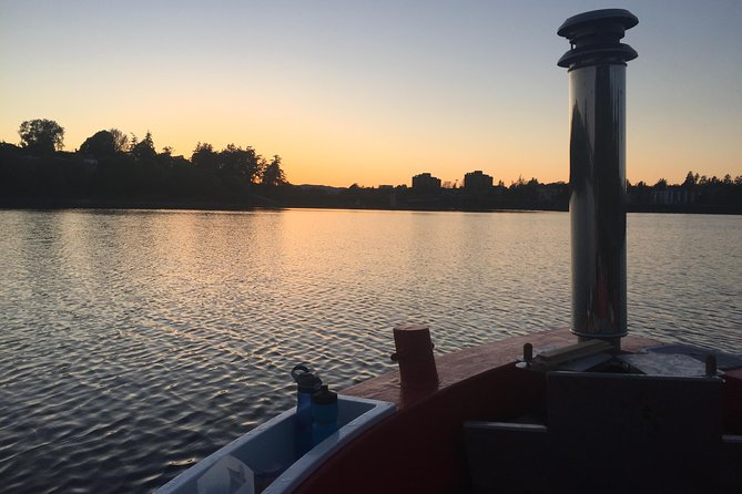 Hot Tub Boat Ride Around Victoria - Steering, Age Rules, and How the Low-Power Boat Feels