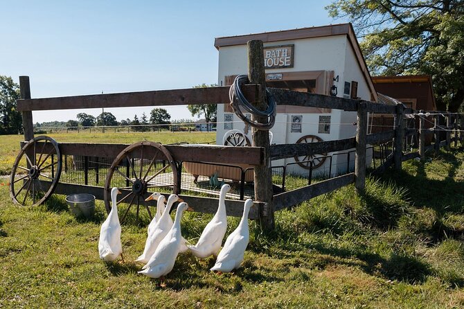 Humberstone Ranch Visit with Mini Domestic Animals - Key points before you go
