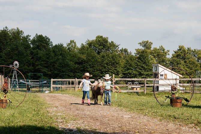 Humberstone Ranch Visit with Mini Domestic Animals - Texas Longhorns, Then Mini Horses: Apples and Brushing Time