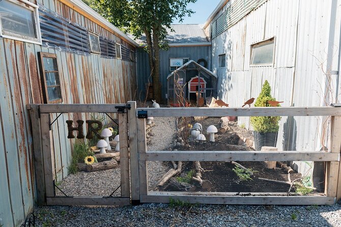 Humberstone Ranch Visit with Mini Domestic Animals - Price, Timing, and Group Size: What $15.01 Buys You