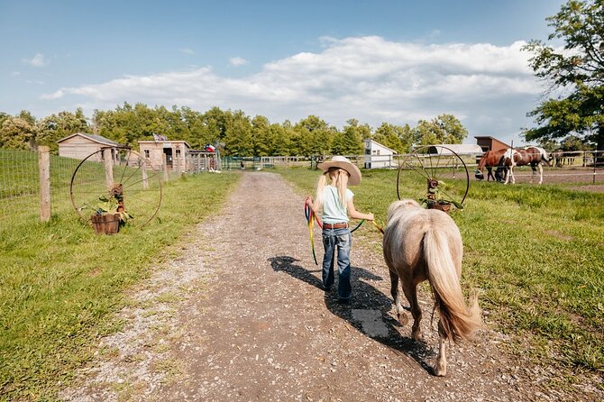 Humberstone Ranch Visit with Mini Domestic Animals - Meeting Point in Port Colborne and How to Plan Your Day