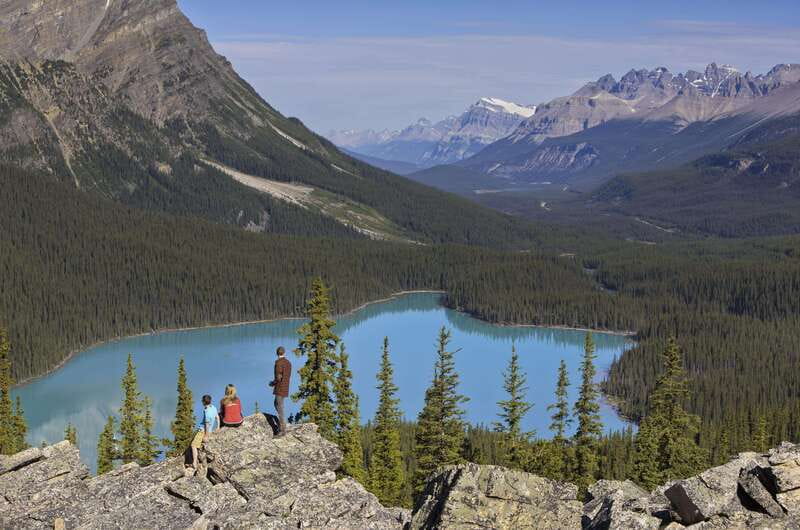 Icefield: Icefield Parkway, Bow Lakes & Peyto Lakes Day Tour - Icefield Parkway, the 232 km drive that feels endless