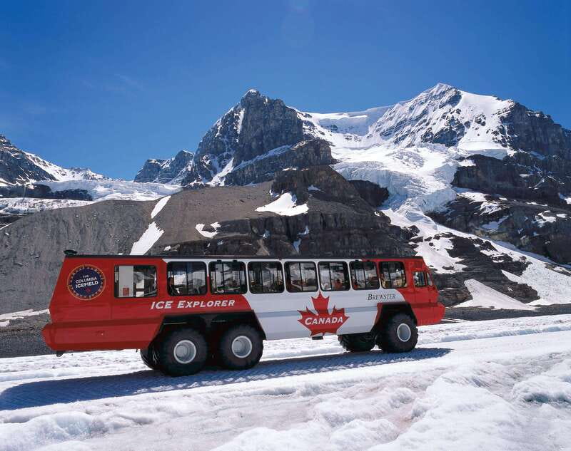 Icefield: Icefield Parkway, Bow Lakes & Peyto Lakes Day Tour - Peyto Lake and the turquoise-lake effect