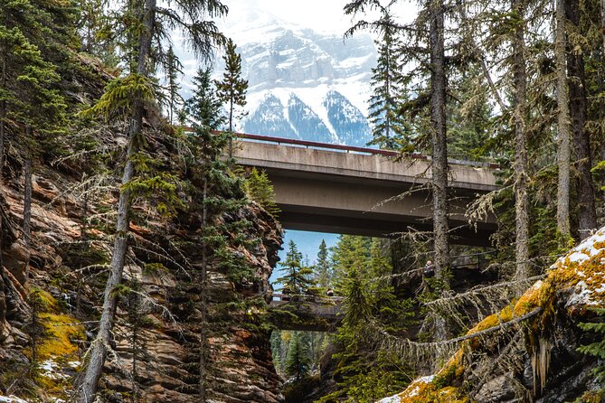 Icefields Parkway: a Smartphone Audio Driving Tour - Tips to Make Your Stops Pay Off