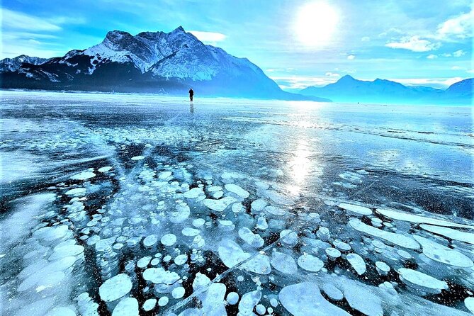 Icefields Parkway and Abraham Lake Bubbles Private Tour - Key highlights worth getting excited about