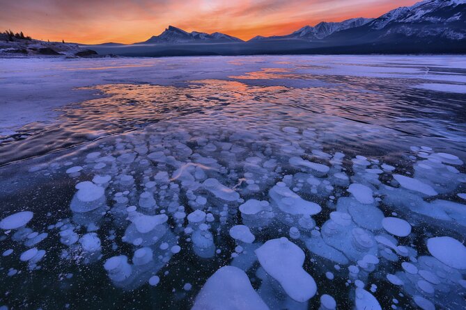 Icefields Parkway and Ice Bubbles of Abraham Lake Adventure - Stop 2: Peyto Lake viewpoint with snowshoeing or crampons