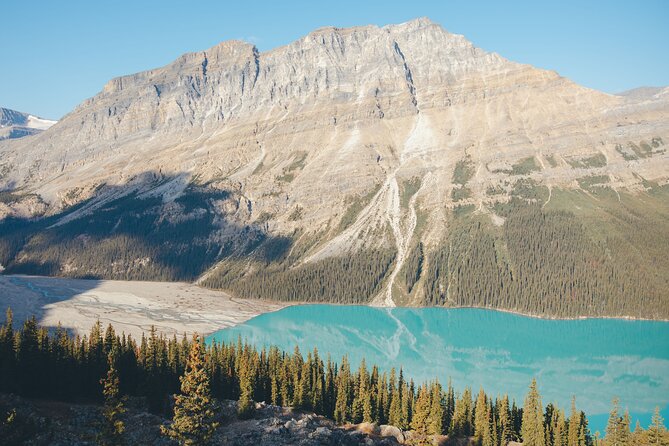 Icefields Parkway Experience - Guides Who Make the Day Work: Names to Remember