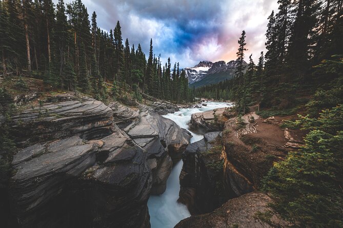 Icefields Parkway Highlights & Secrets | Award-Winning Adventure - Guides, wildlife luck, and where the best photos come from