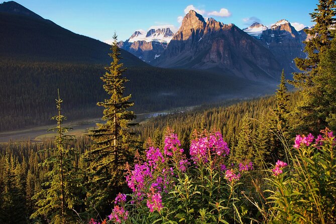 Icefields Parkway Self-Guided Driving Audio Tour - Five Lakes Trailhead and Athabasca Pass Lookout: setting the “why” behind the views