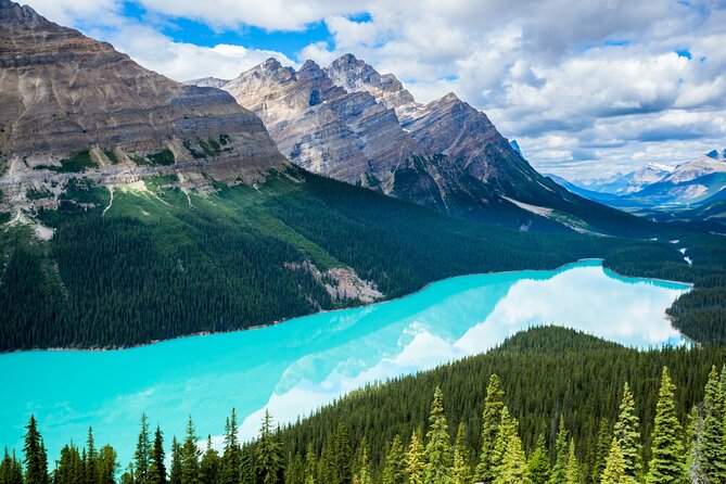 Icefields Parkway Self-Guided Driving Audio Tour - Goats and glaciers, Honeymoon Lake, and Sunwapta Falls: short stops that reward attention