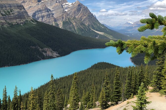 Icefields Pkwy: Lake Louise | Bow | Peyto|Glacier - PRIVATE TOUR - Banff at the end: use the hour to eat, reset, and enjoy the town feel