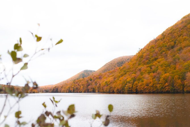 Ingonish and Keltic Lodge 6 Hours Cabot Trail Tour - Key highlights you will actually care about