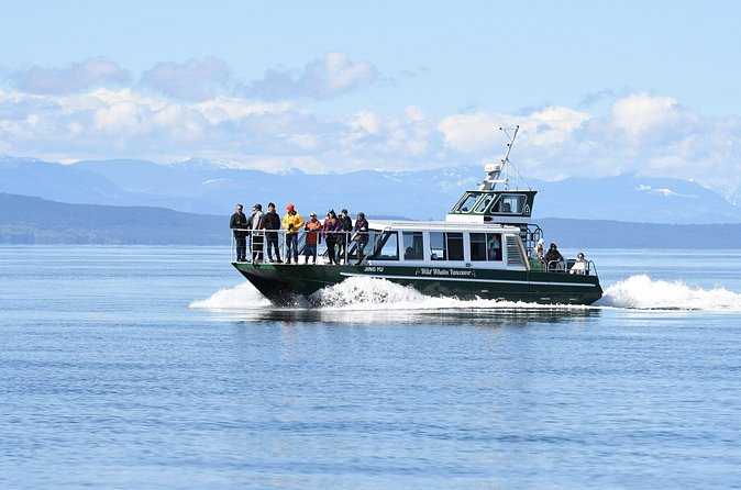 Intimate West Coast Whale Watching - Partly-Sheltered - How the captain and wildlife expert spotting system works