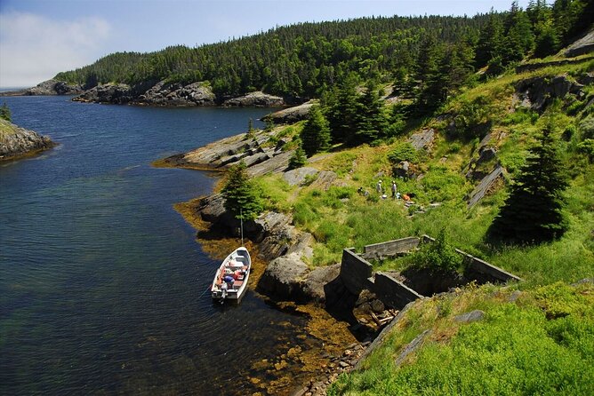 Irish Loop Smartphone Audio Driving Tour - Should you book the Irish Loop Smartphone Audio Tour?