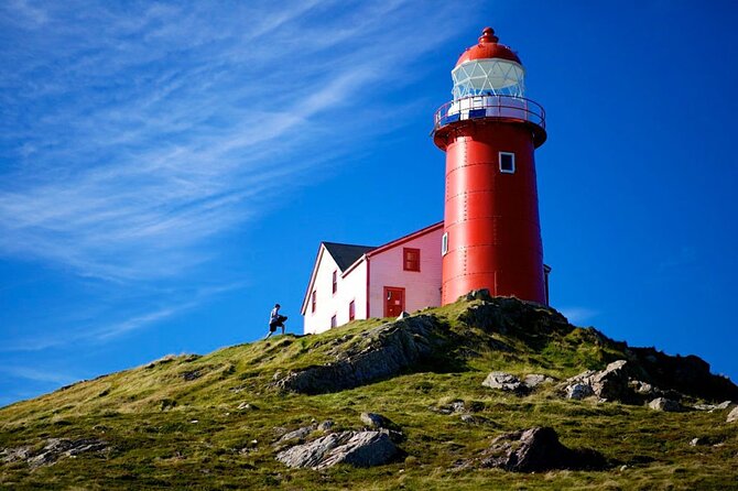 Irish Loop to Ferryland Tour - Key things to know before you go