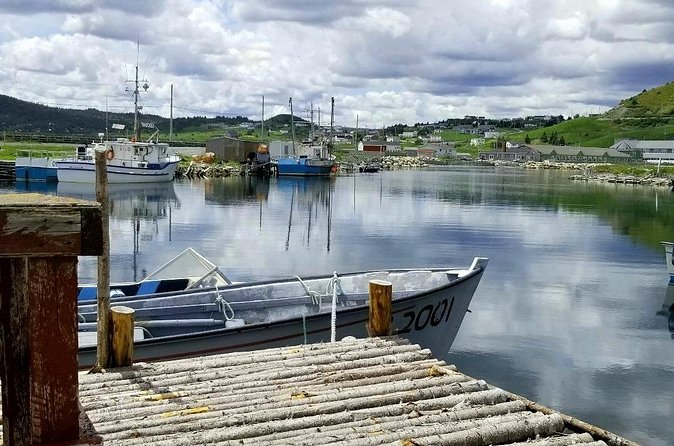 Irish Loop to Ferryland Tour - What the best guides actually do for you