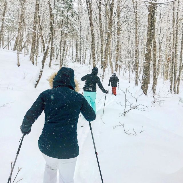 Jacques-Cartier National Park: Skiing Excursion - Ski-shoeing in Jacques-Cartier National Park, taught like you actually need it
