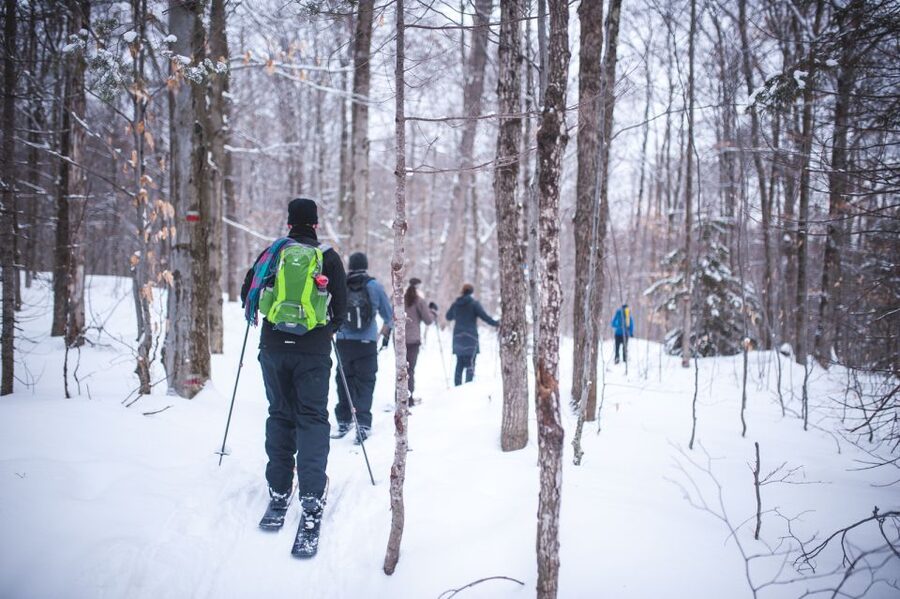 Jacques-Cartier National Park: Skiing Excursion - The lodge start: gear, poles, and getting your balance fast
