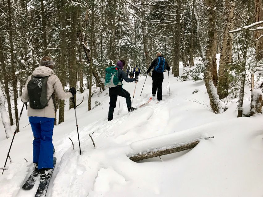 Jacques-Cartier National Park: Skiing Excursion - On the trail: winter views, wildlife signs, and photo-friendly pauses