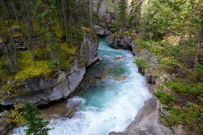 Jasper Ice Climbing Experience - Jasper’s Maligne Canyon Ice Climbing: Why It Feels Special