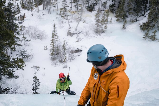 Jasper Ice Climbing Experience - Price and Value: Why $177.33 Makes Sense Here