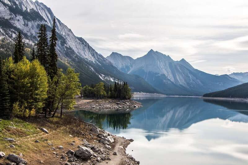 Jasper: Maligne Valley Wildlife & Spirit Island Cruise - Wildlife viewing reality check: maximize your odds without expecting miracles