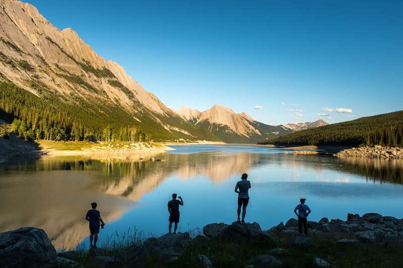 Jasper: Maligne Valley Wildlife & Spirit Island Cruise - Maligne Lake Road and the canyon area: your best odds for moose, elk, and birds