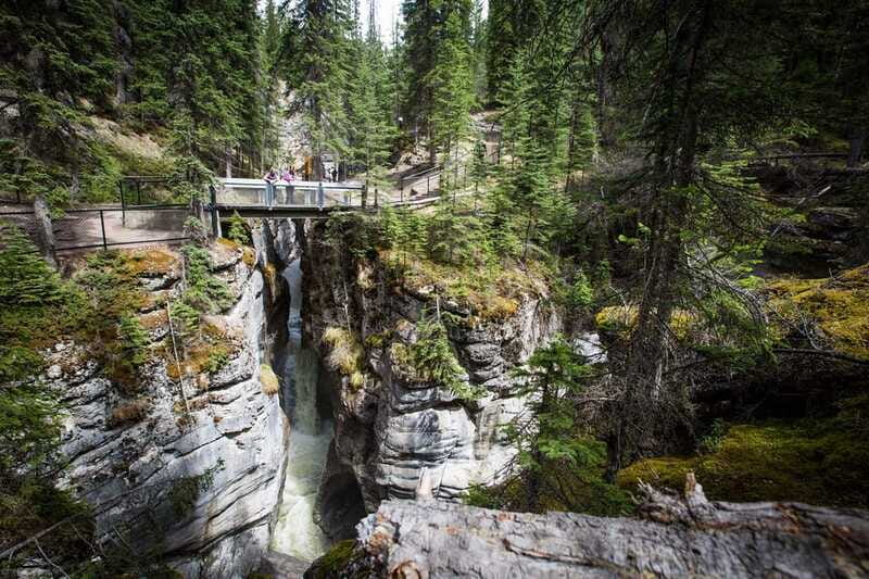 Jasper: Sightseeing Tour with Maligne Lake Cruise - Seasonal Changes, When the Cruise Is Not Running