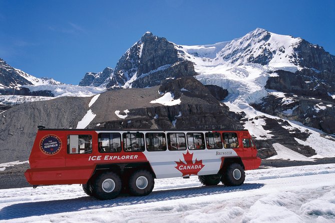 Jasper to Banff One-Way Tour - Crowfoot Glacier and Athabasca Falls: quick stops that work