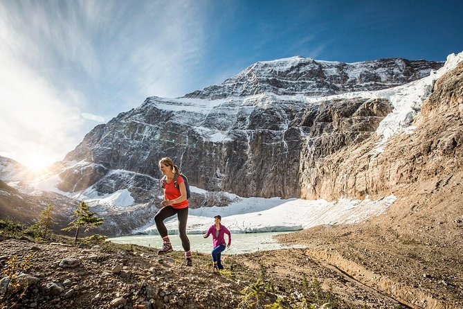 Jasper to Lake Louise One-Way Tour - Icefields Parkway viewing stops: what you see and what to watch for