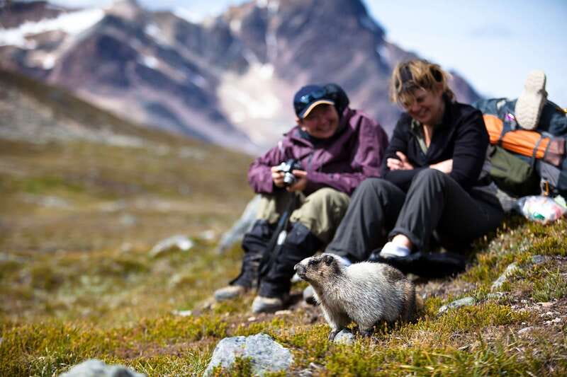 Jasper: Transfer to Banff/Lake Louise w/ Columbia Icefields - Lake Louise: use the free time well