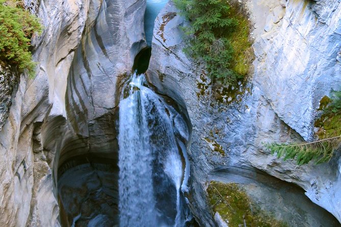 Jasper Wildlife and Sightseeing Tour with Maligne Lake Hike - Jasper To Maligne Valley, In A 6-Hour Time Slot