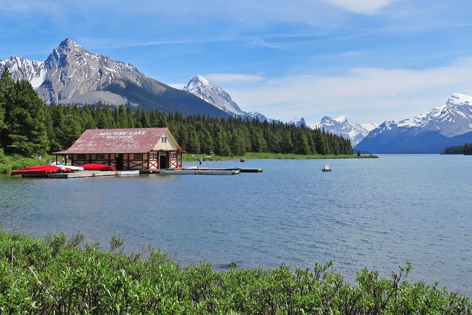 Jasper Wildlife and Sightseeing Tour with Maligne Lake Hike - The Drive Through Sub-Alpine Habitat, Where Wildlife Is The Mission