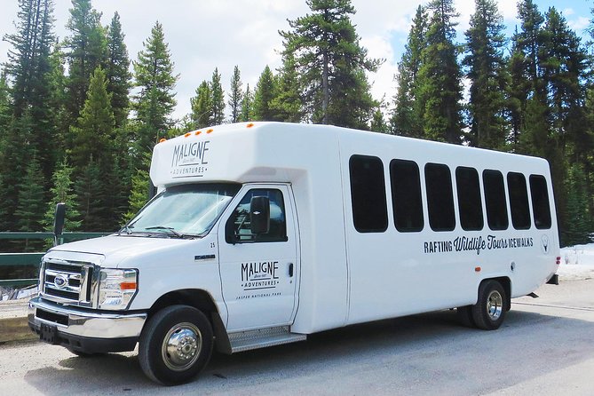 Jasper Wildlife and Sightseeing Tour with Maligne Lake Hike - Maligne Lake Shore Hike: A Short Walk With Big Rewards