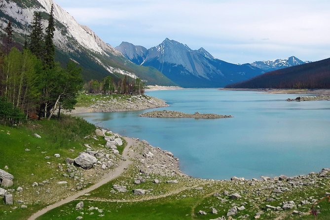 Jasper Wildlife and Sightseeing Tour with Maligne Lake Hike - Price And Value: What $81.90 Buys In Jasper