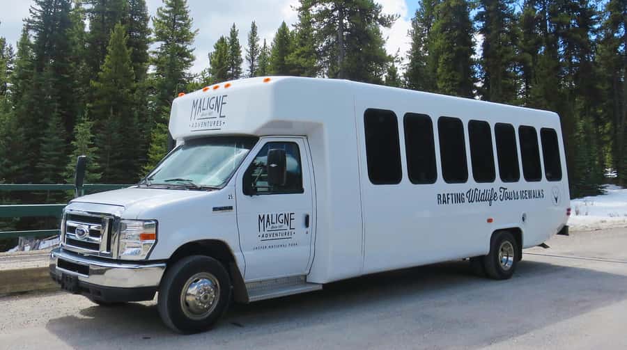 Jasper: Wildlife and Waterfalls Tour with Lakeshore Hike - Key points to know before you go