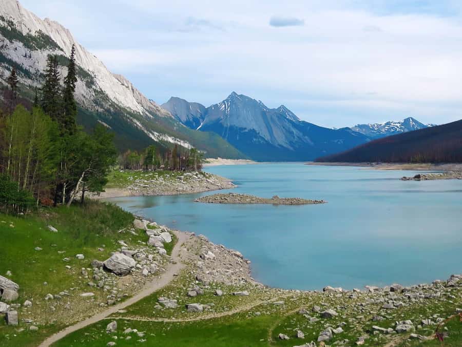 Jasper: Wildlife and Waterfalls Tour with Lakeshore Hike - Medicine Lake viewpoint and why it is disappearing