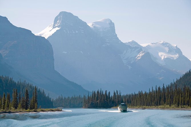 Jasper Wildlife & Sightseeing Tour with Maligne Lake Cruise - The Maligne Valley drive, your wildlife odds