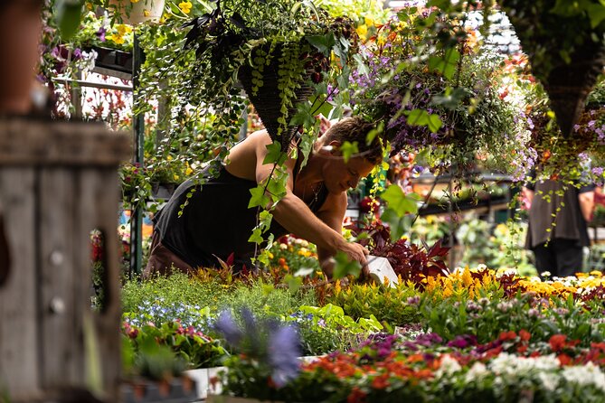 Jean-Talon Market & Little Italy Small Group Walking Tour - What You’ll Probably Want to Do After the Tour
