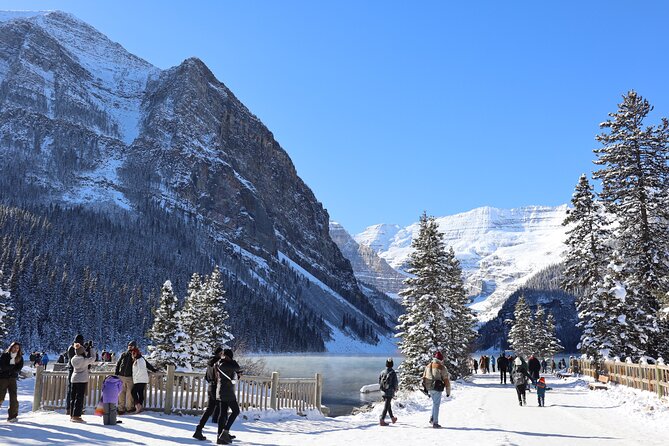 Johnston Canyon, Lake Louise & Banff: Small-Group Day Tour - Price and value: what $74.31 buys you in the real world