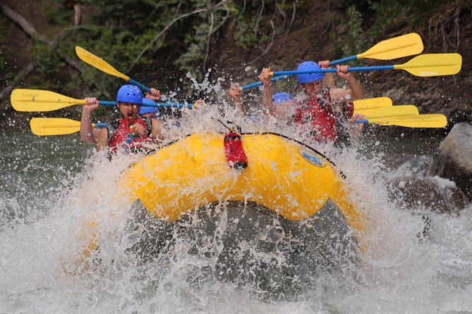 Kananaskis River Rafting Adventure - Who this rafting trip is perfect for (and who should skip it)